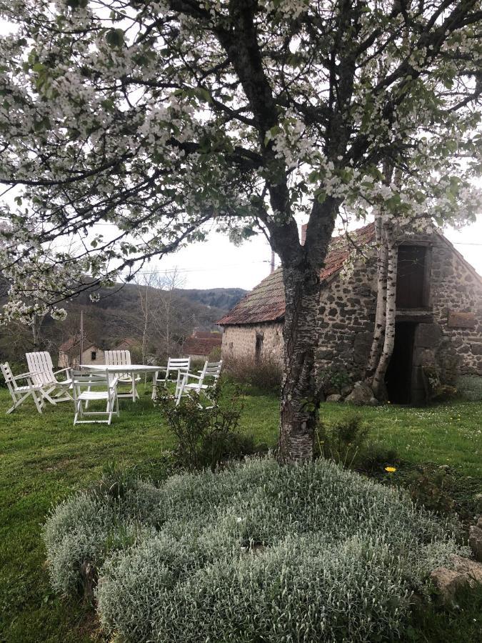 Maison D'Hotes Ourdeaux Et Gite Chez Rouchon Alleyrat  Buitenkant foto